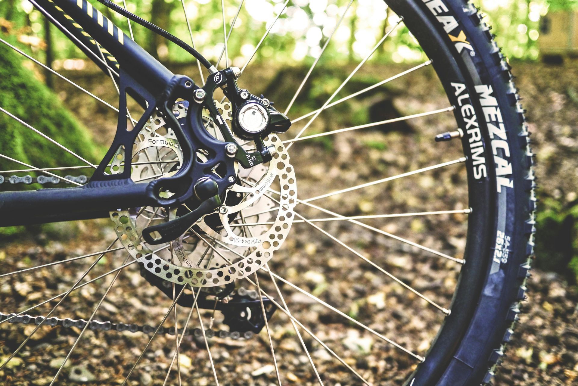 Close-up of a mountain bike's rear wheel, disc brake, and cassette on a forest floor.