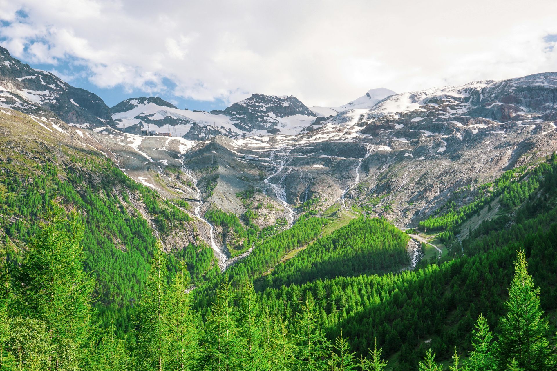 A sunlit, vibrant green forest in the foreground leads up to jagged, snow-dusted mountain peaks under a cloudy sky.
