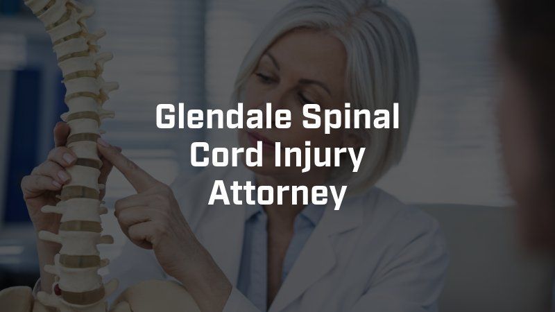 A glendale spinal cord injury attorney is holding a model of a spine