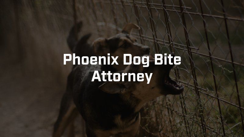 A dog is behind a fence with its mouth open.