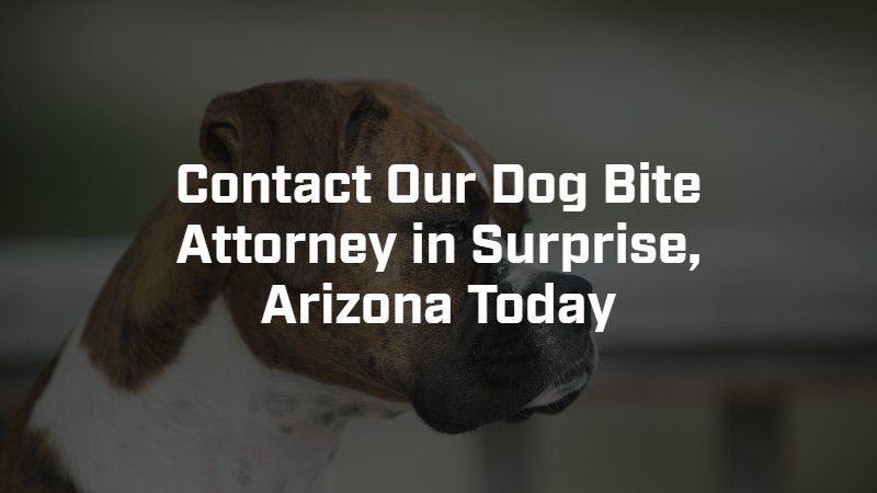 A picture of a dog with the words contact our dog bite attorney in surprise arizona today