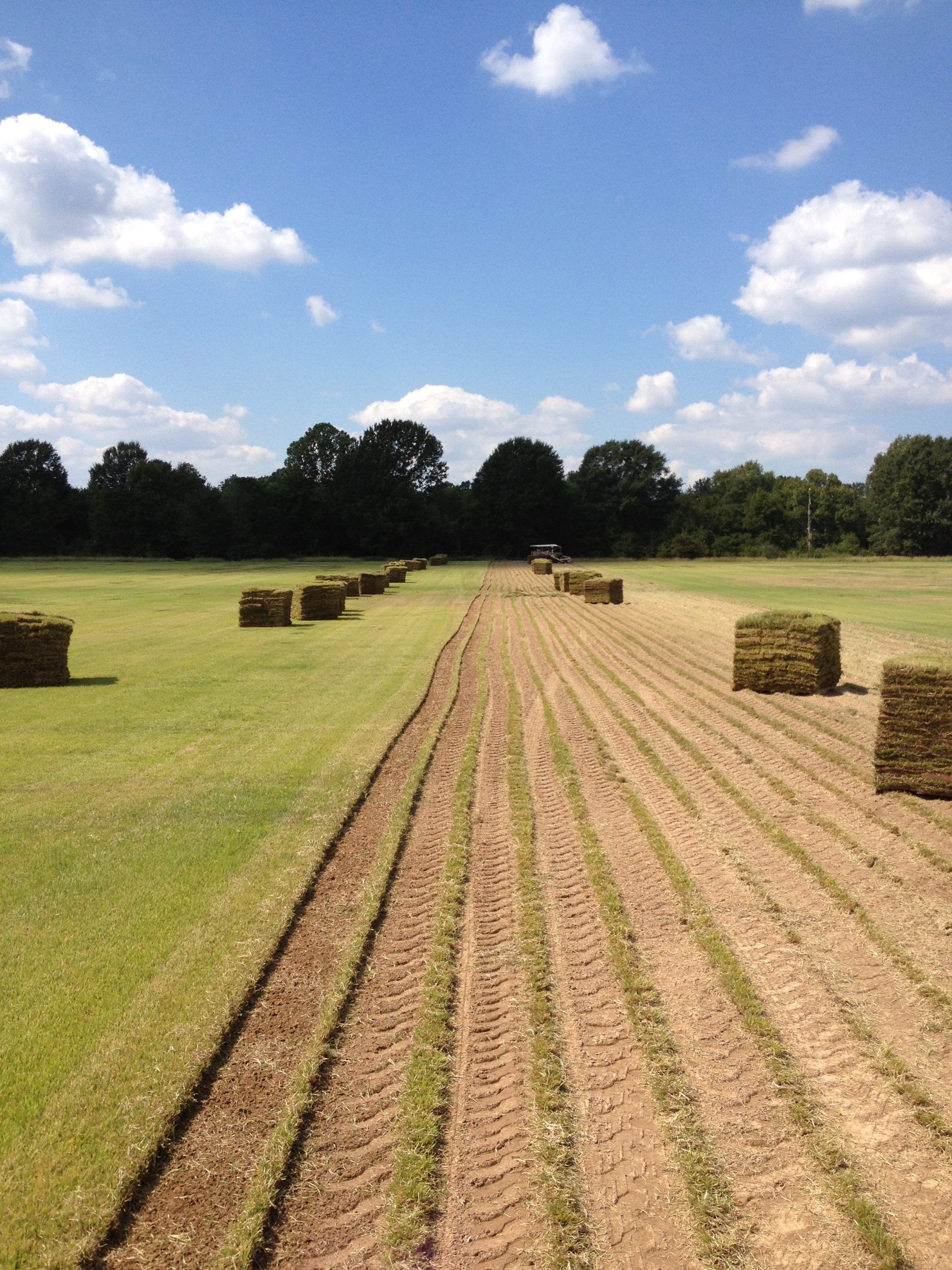 Installation — Sod Installation in Bastrop, LA Installation — Sod Installation in Bastrop, LA