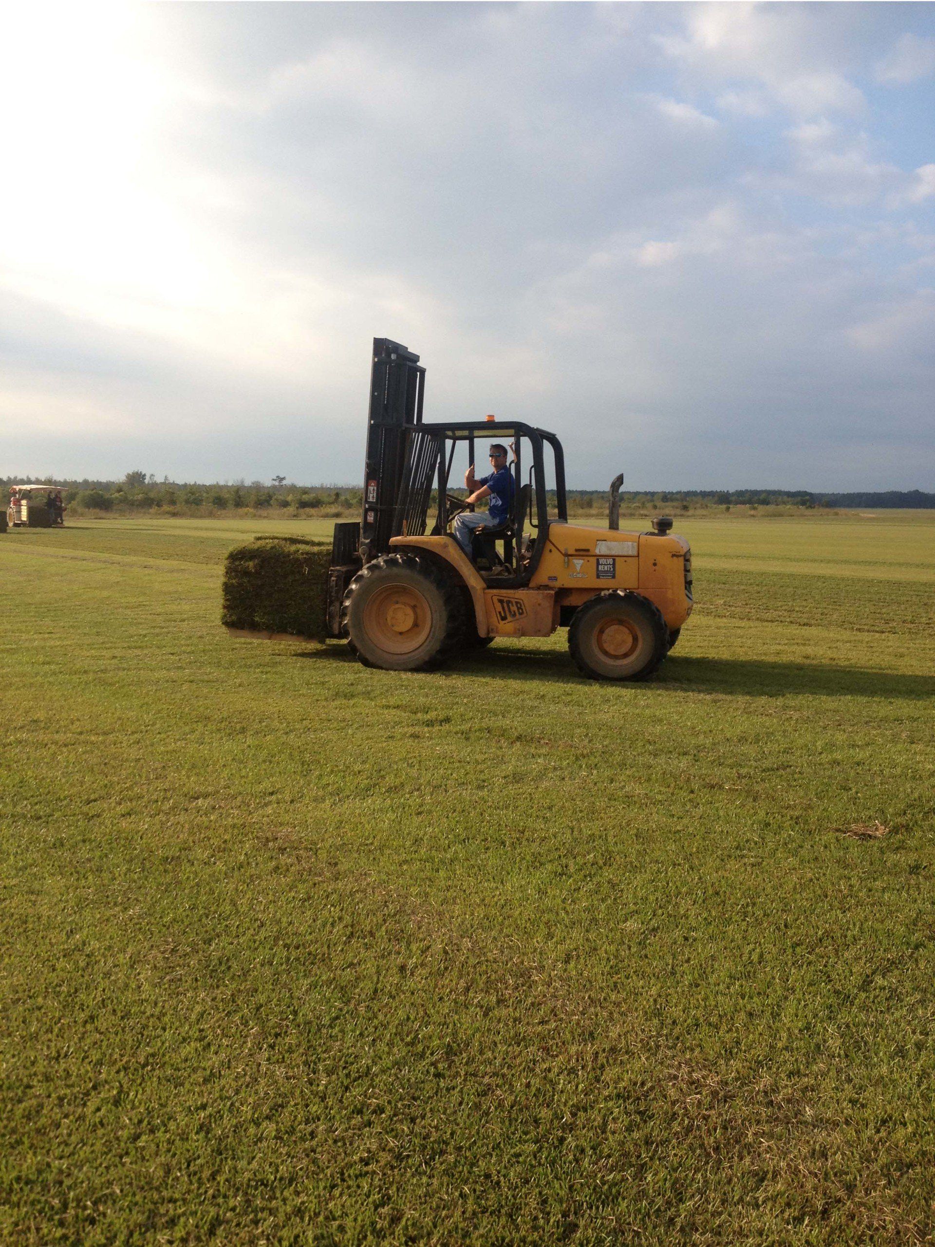 Lawn Evaluation — Field of Grass With Truck in Bastrop, LA