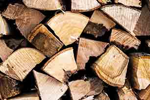 Wood logs - Tree & Stump Removal in Swansea, MA