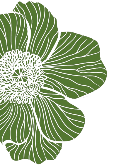 fiori