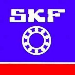 Gruppo SKF