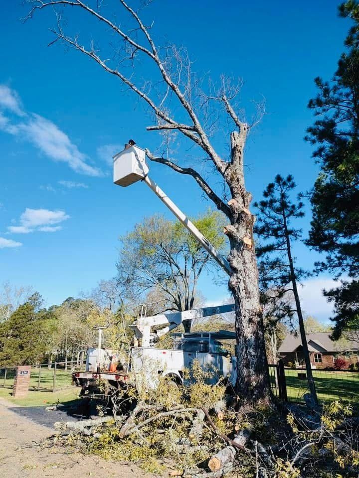 Bucket truck removing tall tree in Arkadelphia AR neighborhood