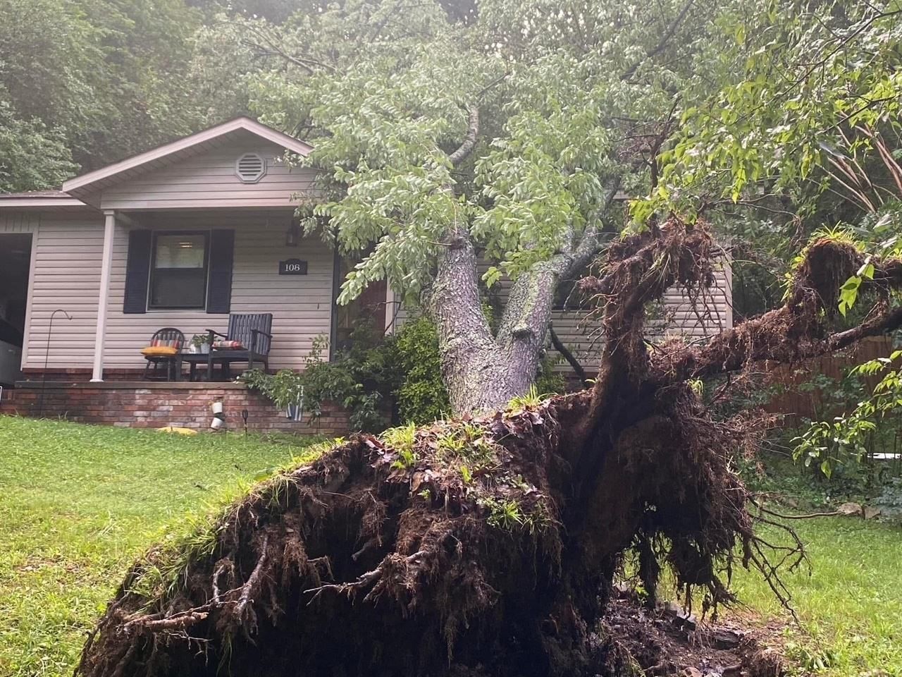 Massive uprooted tree removed from residential yard in Arkadelphia AR