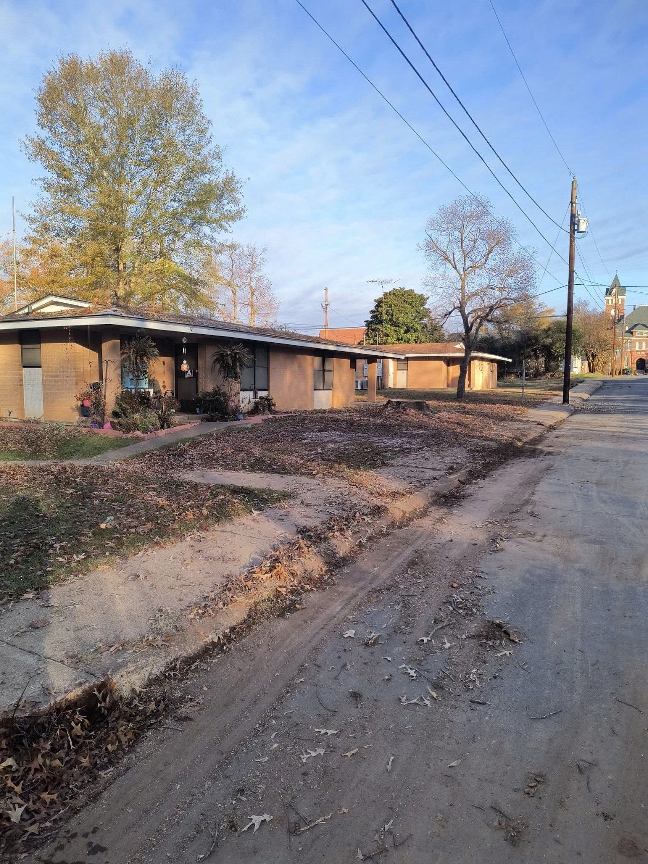 Cleared driveway and yard after tree cleanup Clark County AR