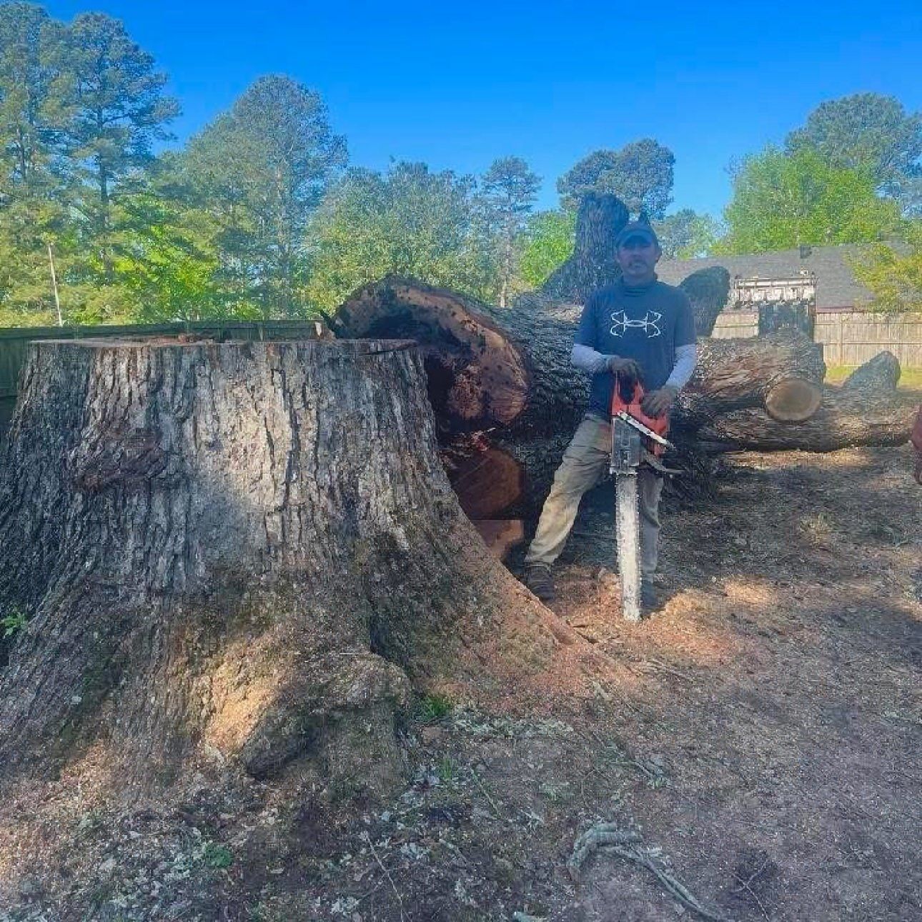 Robbie Plyler sitting on large tree stump after removal Clark County AR