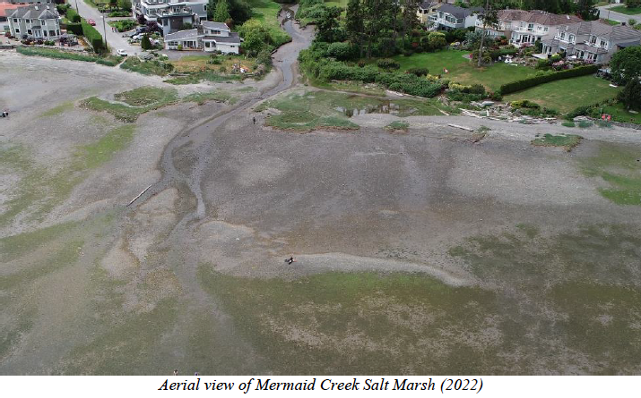 An aerial view of Mermaid creek saltmarsh.