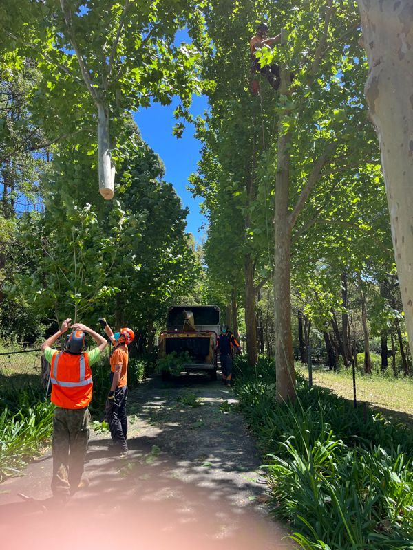 Forestry contractors