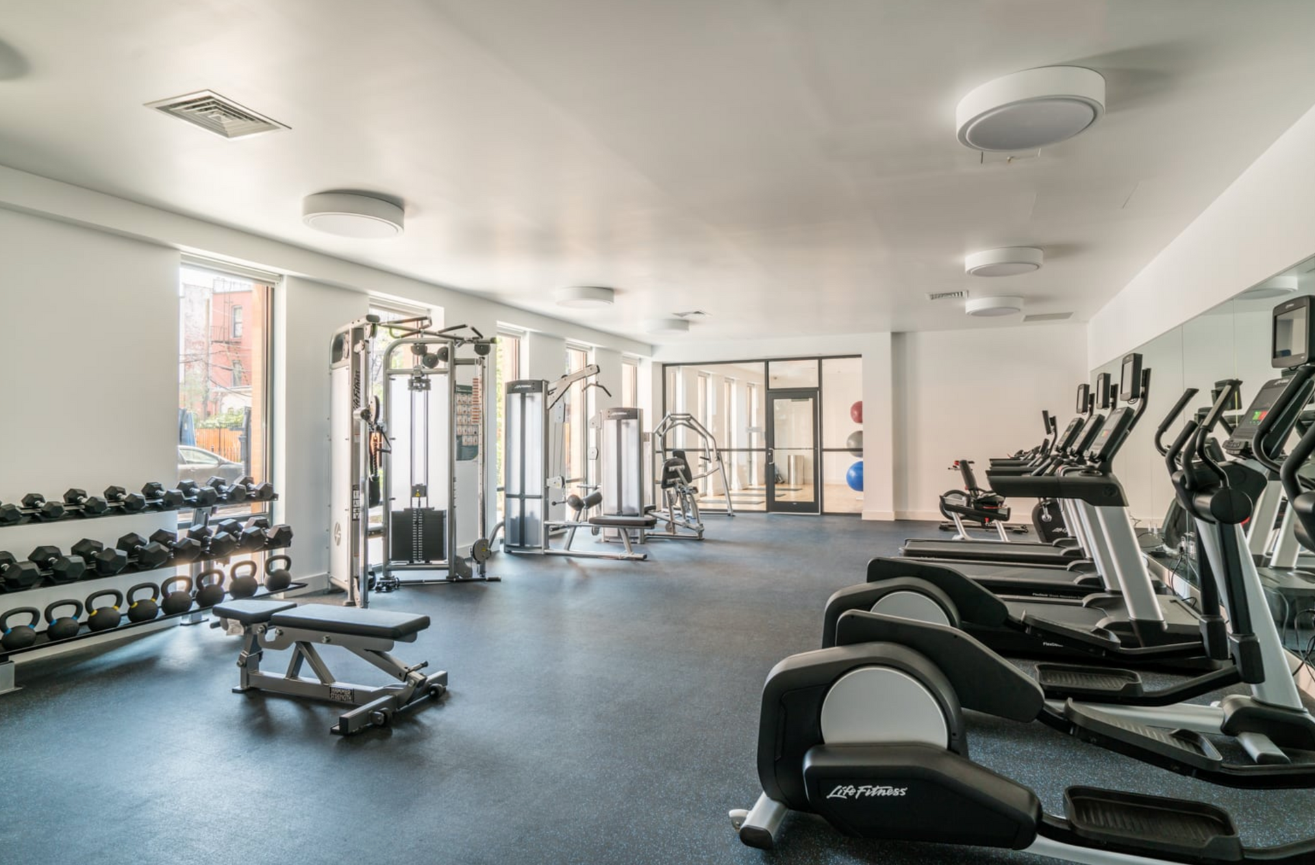 a large gym with a lot of exercise equipment and dumbbells .