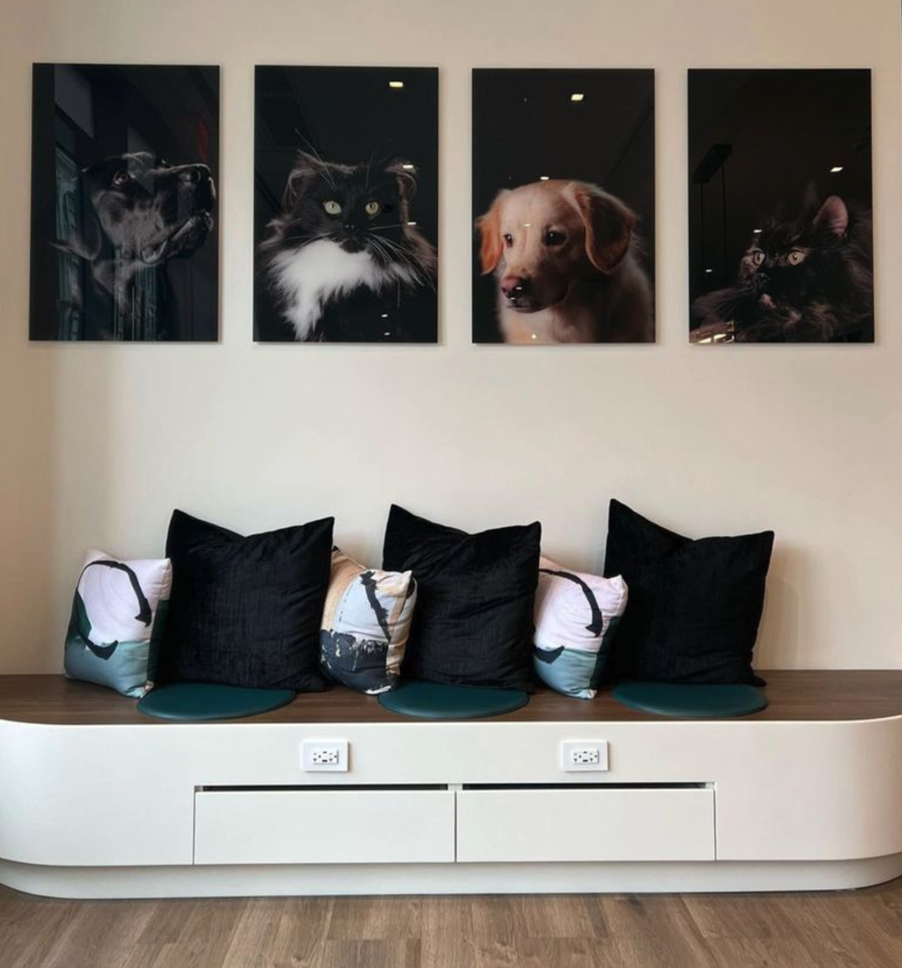 A couch with black pillows and pictures of cats and dogs on the wall