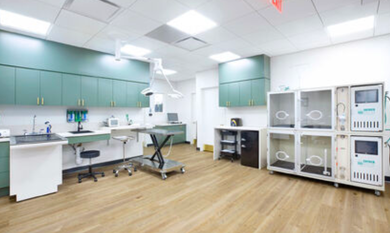 A veterinary operating room with green cabinets and wooden floors.