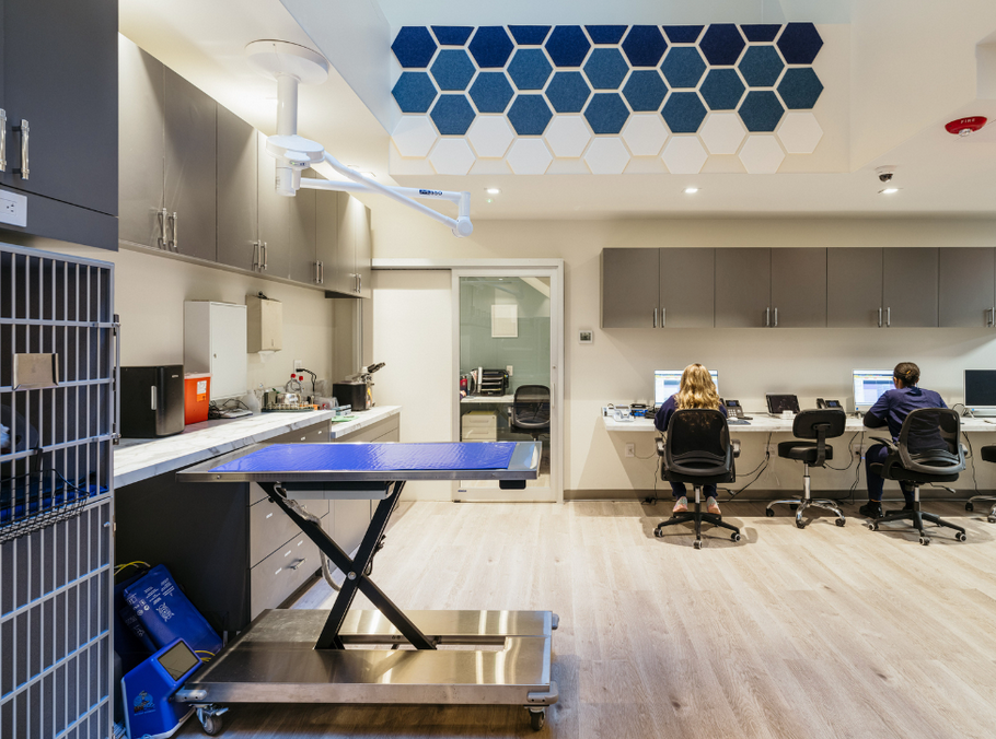 a woman is sitting at a desk in a veterinary office .