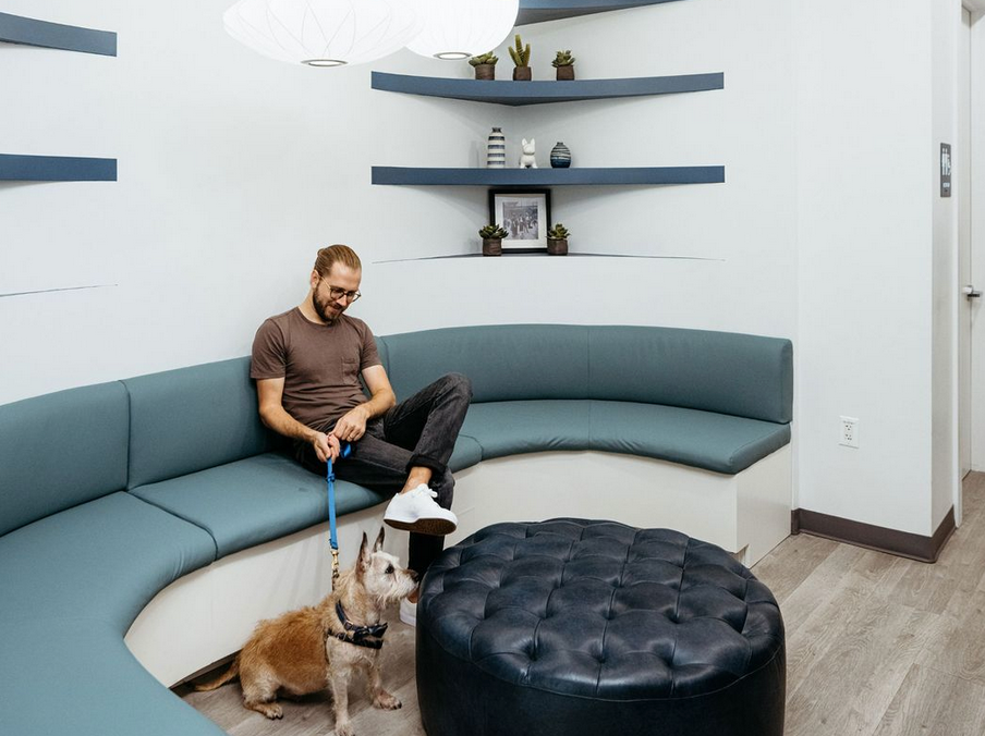 A man is sitting on a couch with a dog on a leash.