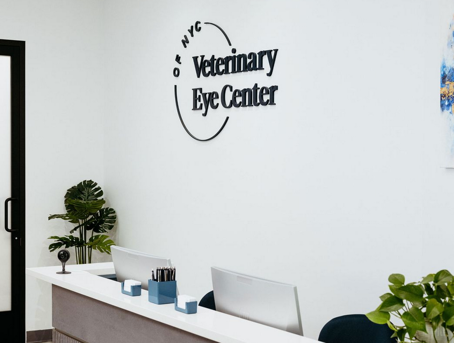 The veterinary eye center is located in new york city