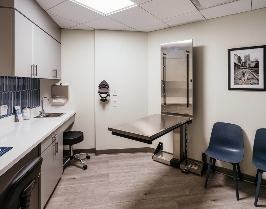 A veterinary office with a stainless steel table and chairs