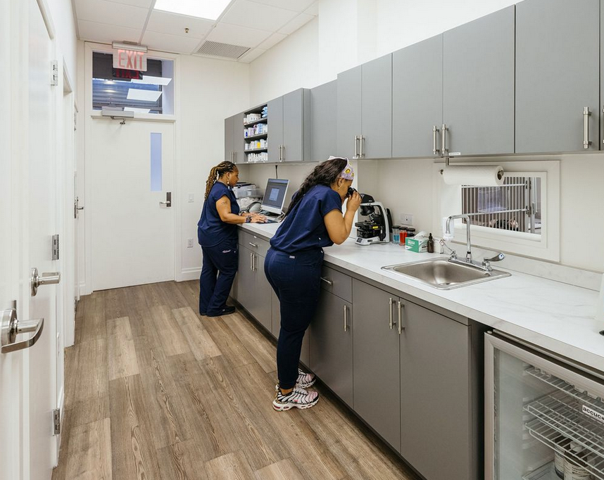 Two nurses are working in a kitchen in a hospital.