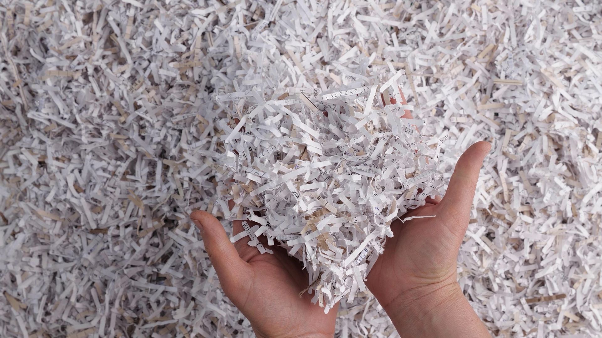 Shredded documents being held by two hands.