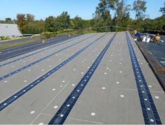 A flat roof with rows of dark blue strips and white circular fasteners. Trees and a building are in the background.