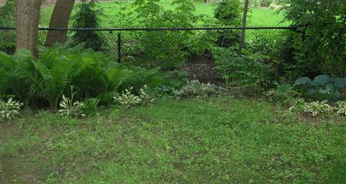 before work Shade garden
