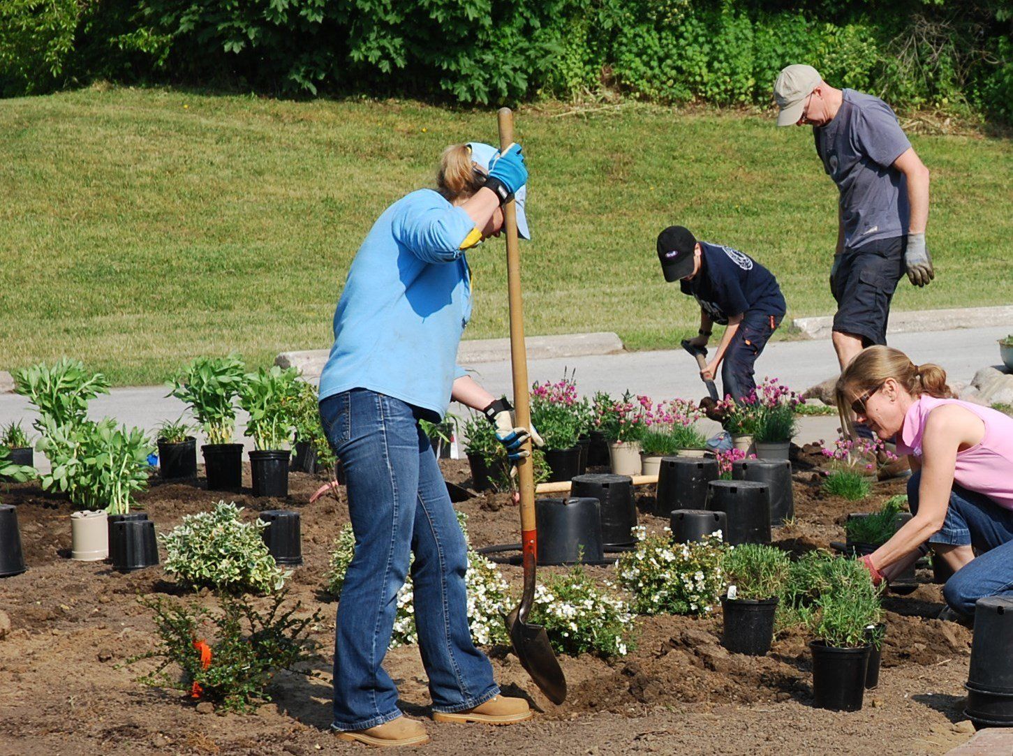 during planting the gardens
