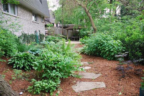 after back yard work shade garden