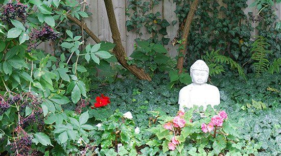 Back garden with buddha statue