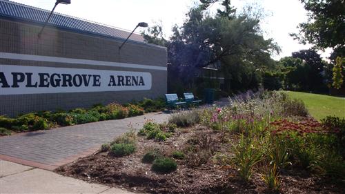 after planting the gardens