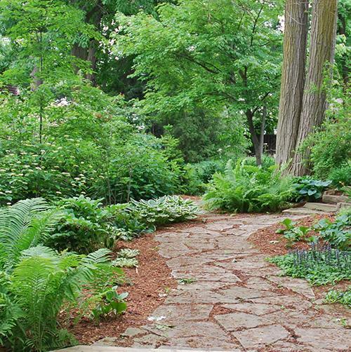 after back yard landscaping