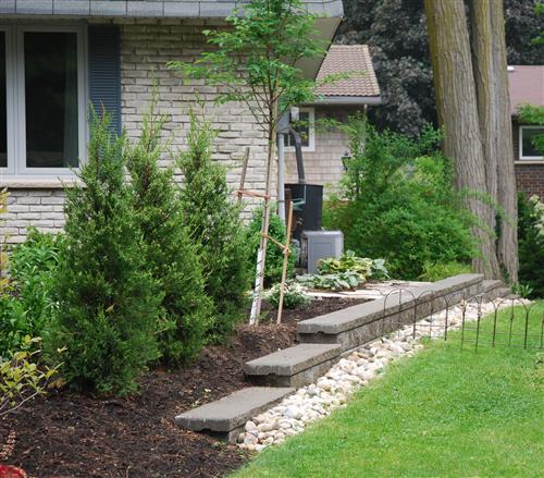 After landscaping of side yard