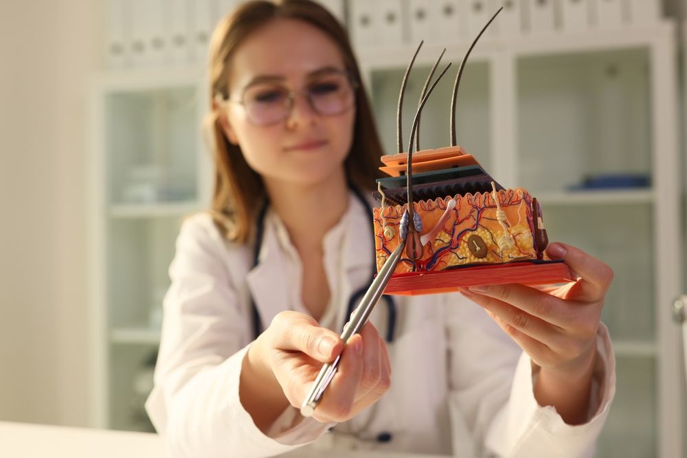 Doctor pointing to a skin model, explaining the layers, in a well-lit office.