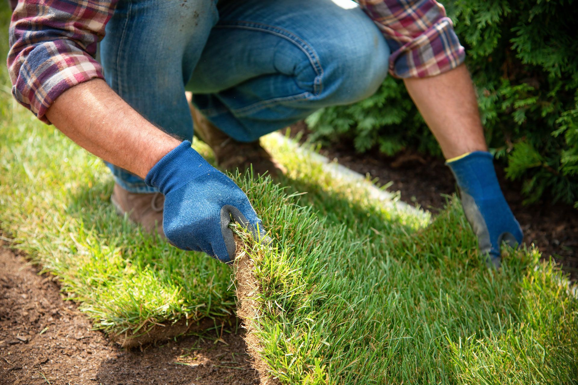 Person laying down sod in a garden bed; wearing blue gloves and plaid shirt.