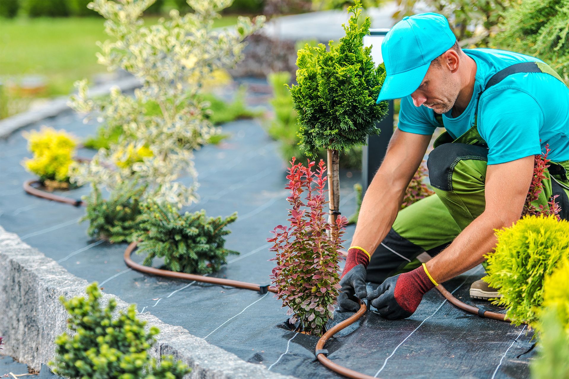 Installating Irrigation System