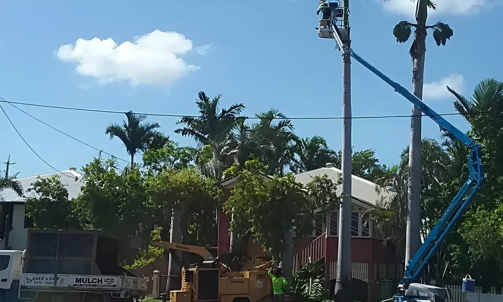 A Man In A Bucket Is Working On A Street Light — Chop N Chip Tree Fellas In Roseneath, QLD