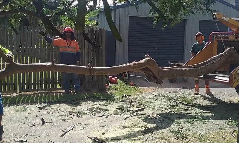 A Man Is Cutting A Tree Branch With A Chainsaw — Chop N Chip Tree Fellas In Roseneath, QLD