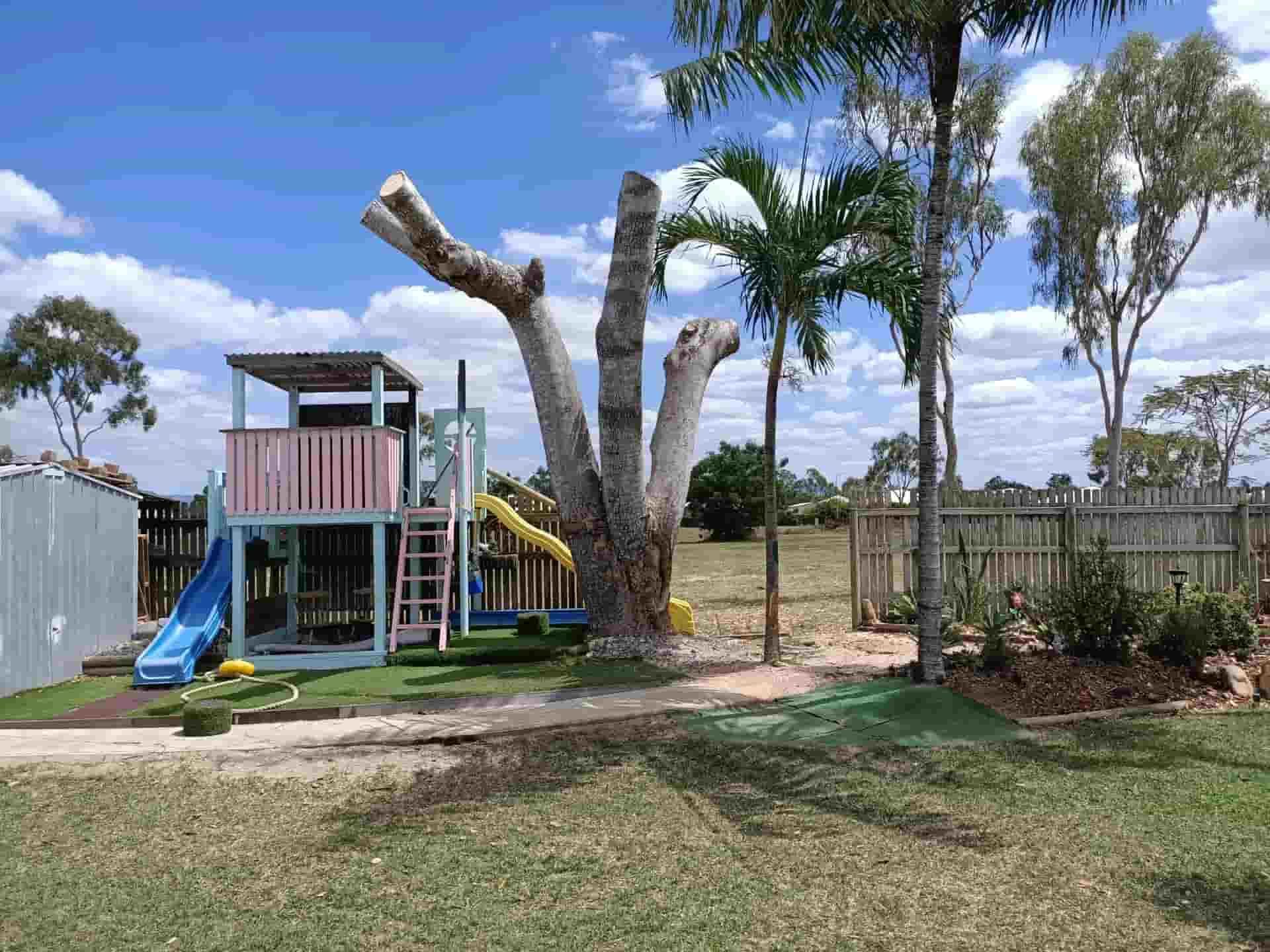 A Playground With A Slide And A Tree In The Background — Chop N Chip Tree Fellas In Roseneath, QLD