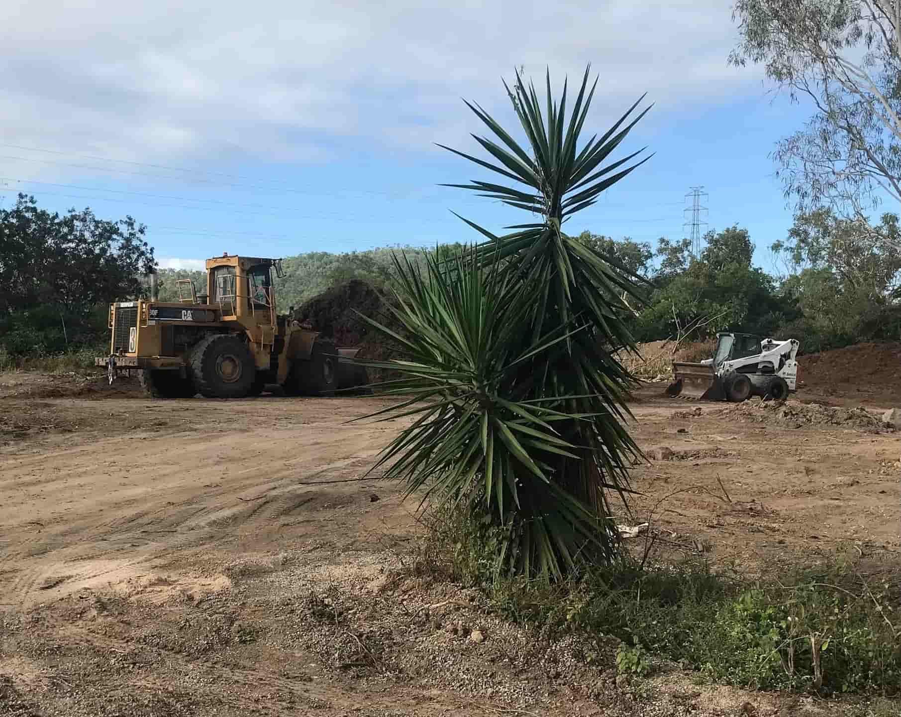 A Bulldozer Is Driving Through A Dirt Field — Chop N Chip Tree Fellas In Roseneath, QLD