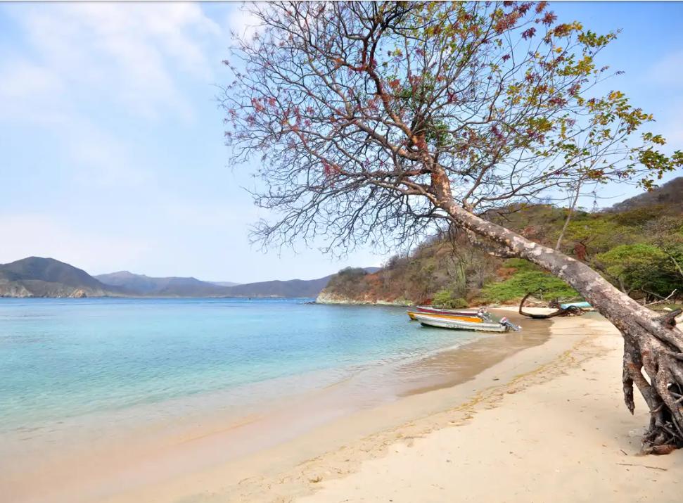Playa de arena con agua turquesa, barcos y un árbol con hojas escasas, bajo un cielo azul brillante.