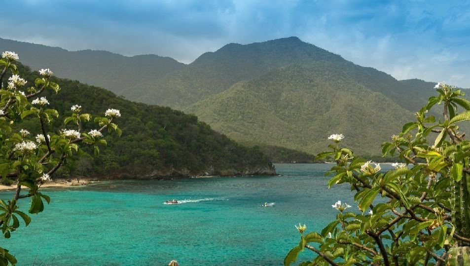 Bahía con agua turquesa, montañas y exuberante follaje verde, con flores blancas en primer plano.