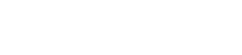 ITVizon Brand Logo