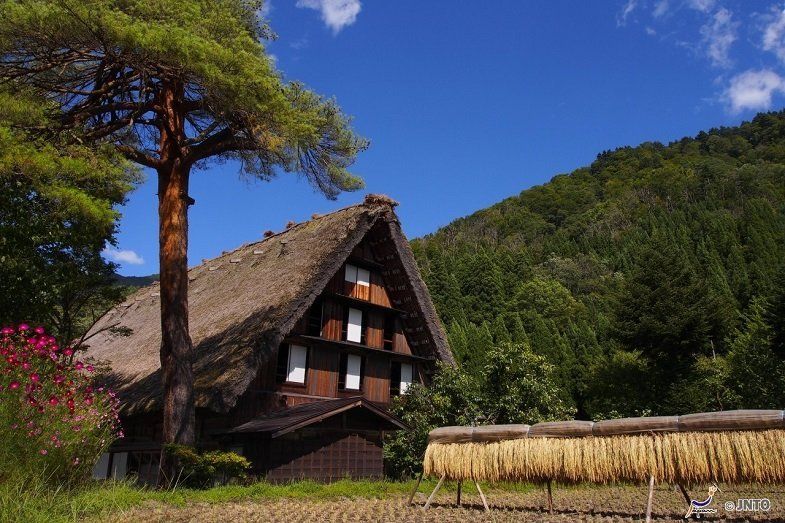 Shirakawa