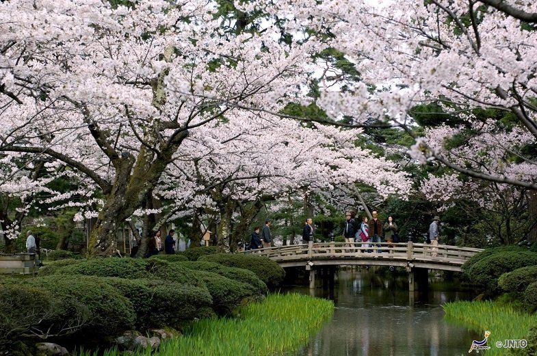 Kyoto