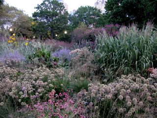 New York Gardens