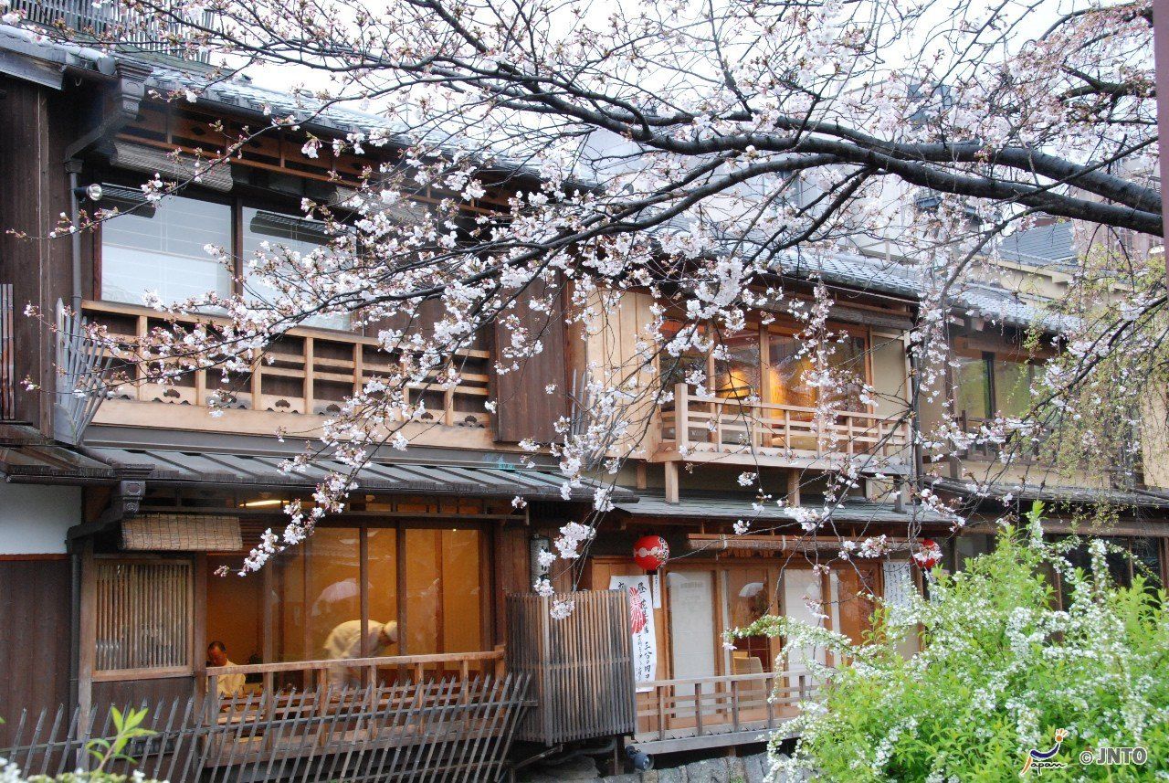 Japan Tours