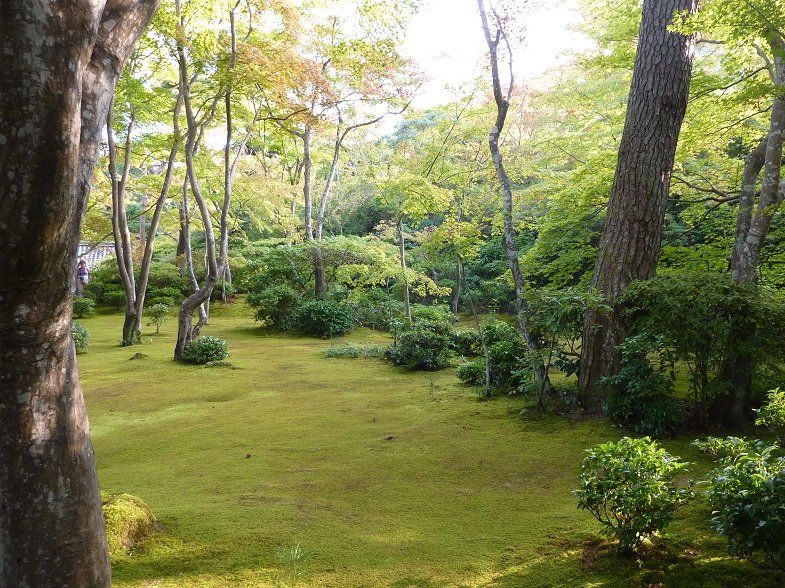 Japanese Garden Types