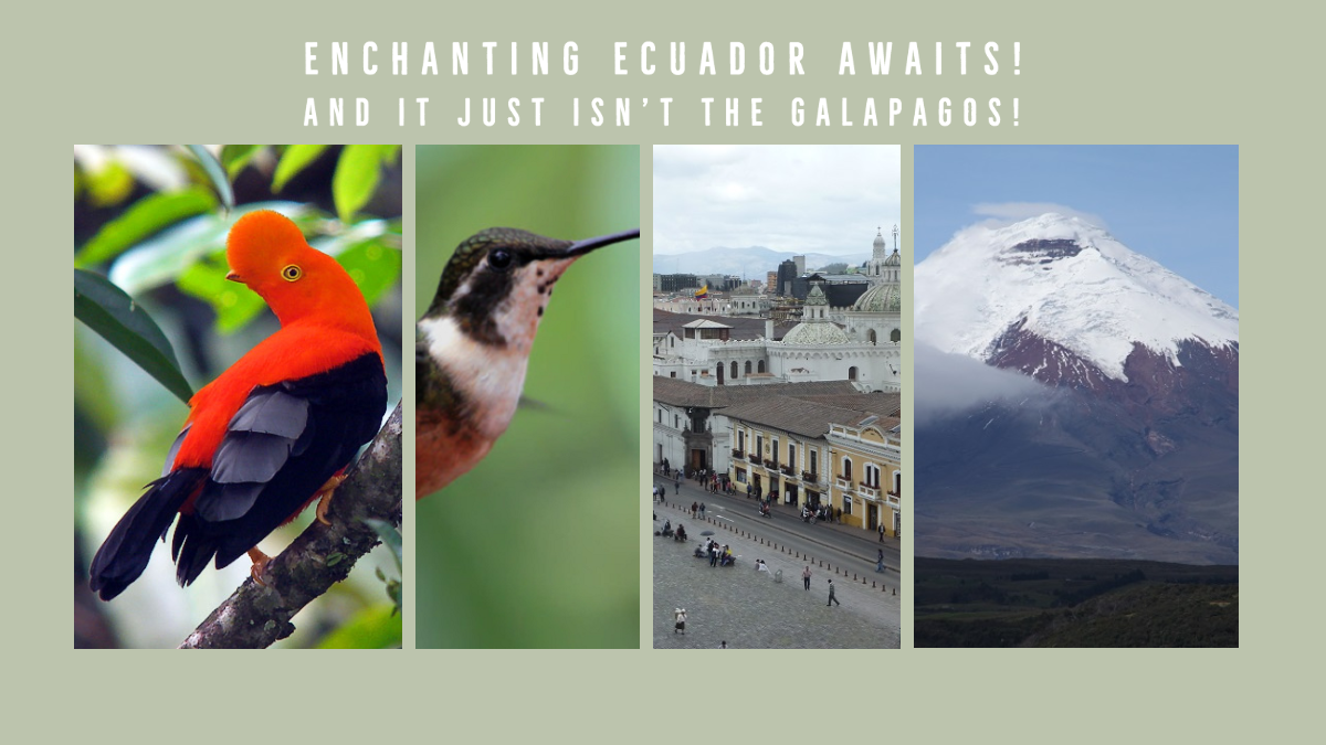 Enchanting Ecuador Tours