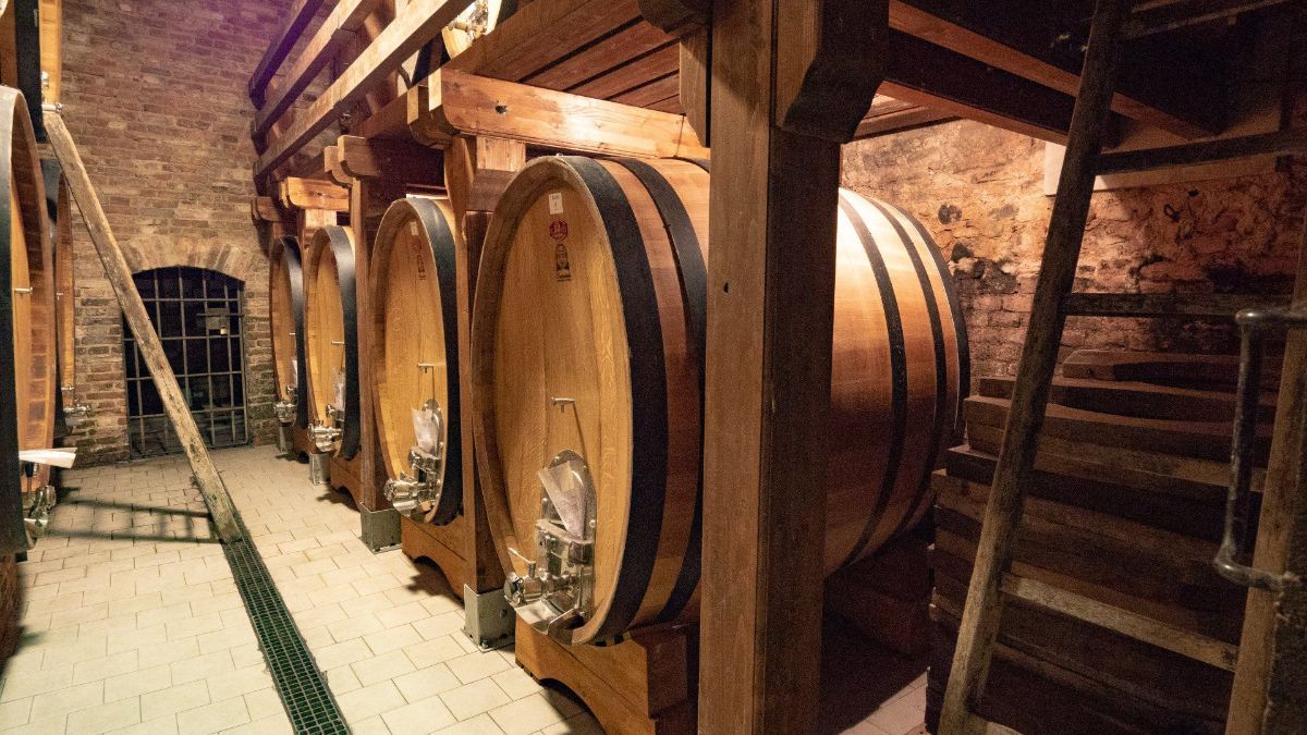 wooden barrels for wine